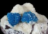 Vibrant Blue Cavansite Clusters on Stilbite - India #62878-2